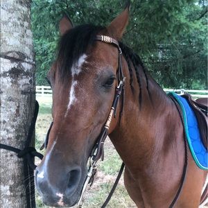 Meet your Posher, Savannah